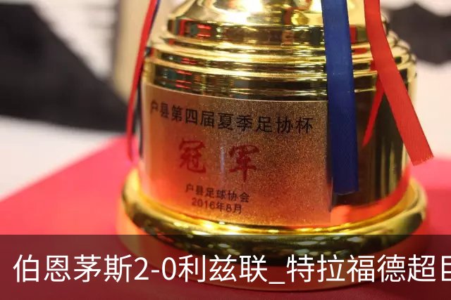 伯恩茅斯2-0利兹联 特拉福德超巨失误 埃瓦尼尔森&阿德利破门