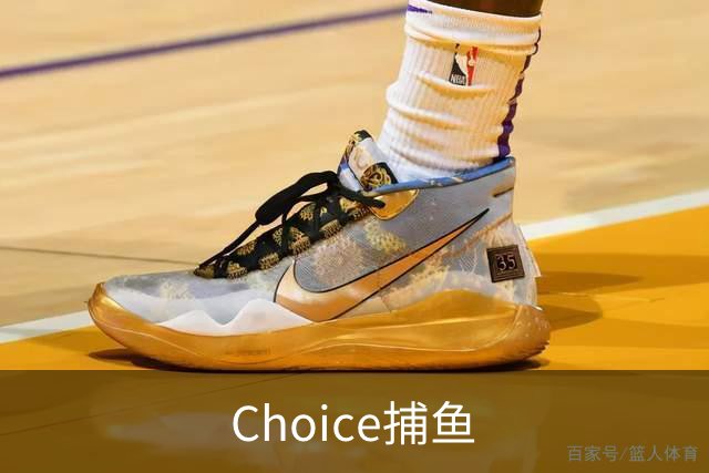 Choice捕鱼公司环境与服务介绍
